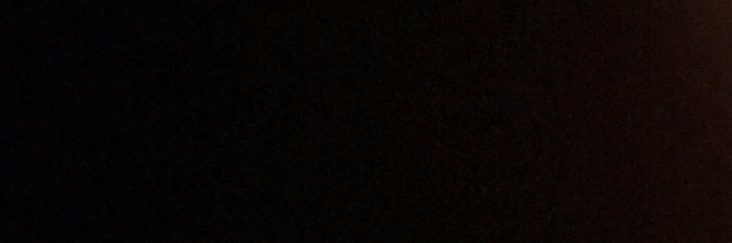 lexalessandrini's profile banner image