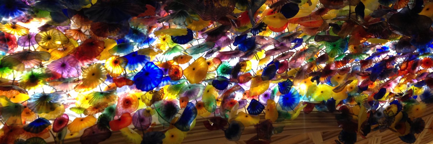 Kristigranecki's profile banner image