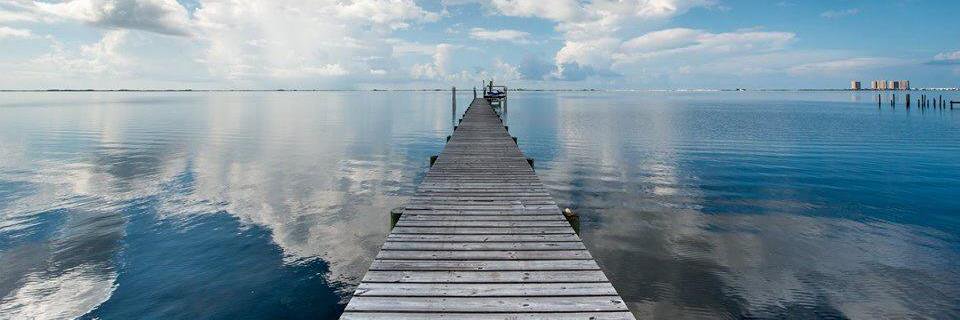 Rosemary Staples banner