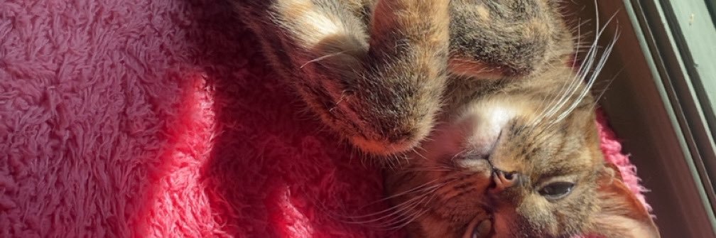 lyssajadet's profile banner image