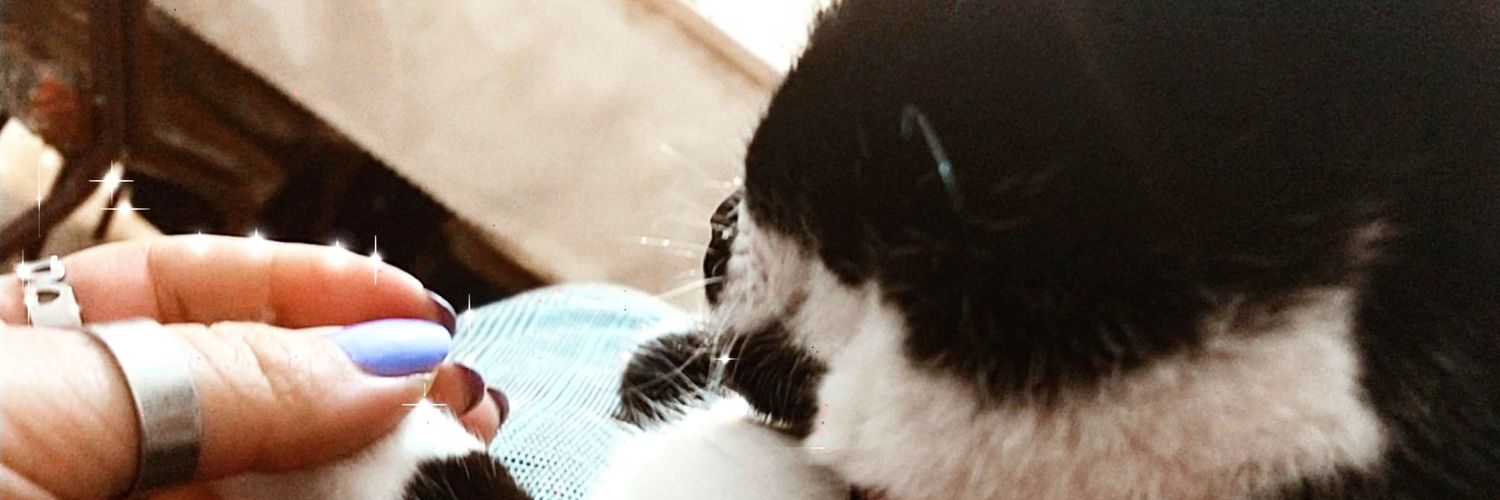 marfrndz's profile banner image