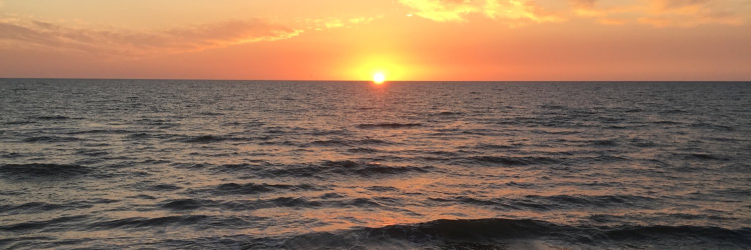 hahnmatthew's profile banner image