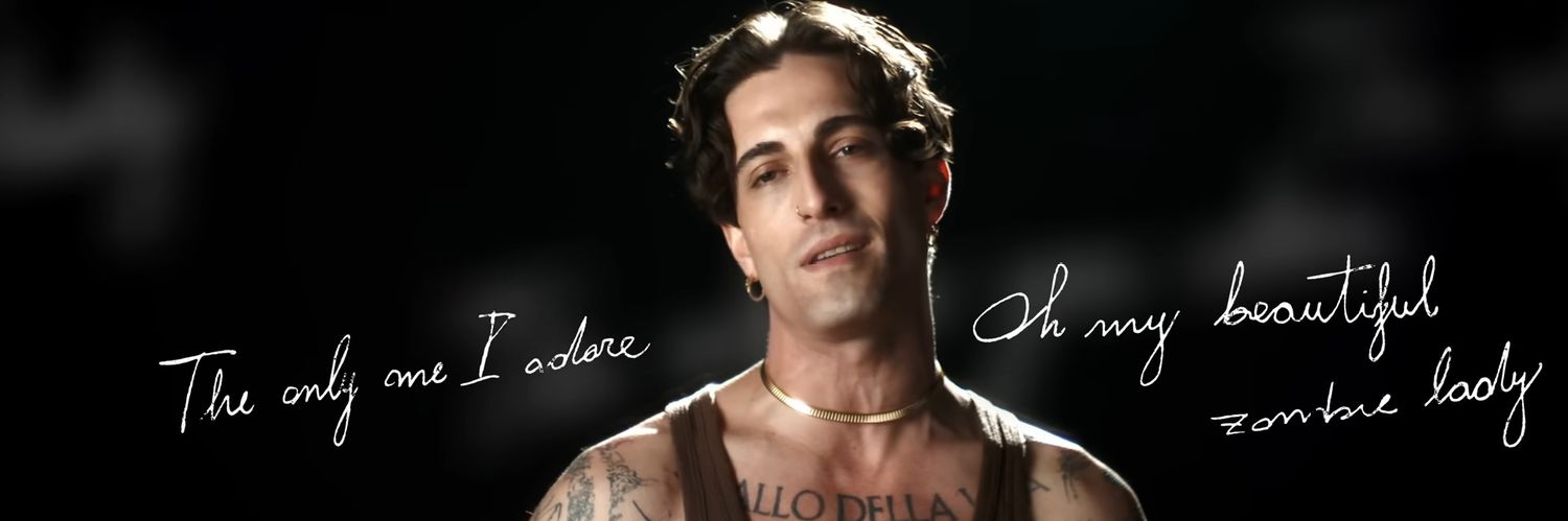 turtle_duffan's profile banner image