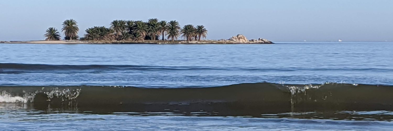 Ana Laura Trias banner