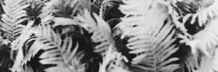 Ирка из Ирка banner