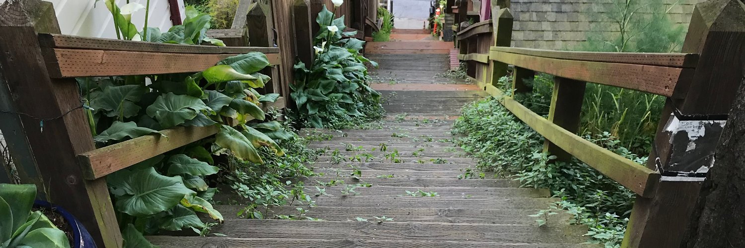 cloverandbasil's profile banner image