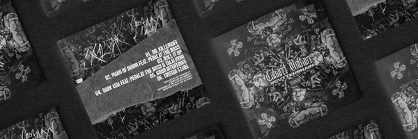 SCVTTERBRVIN Profile Banner