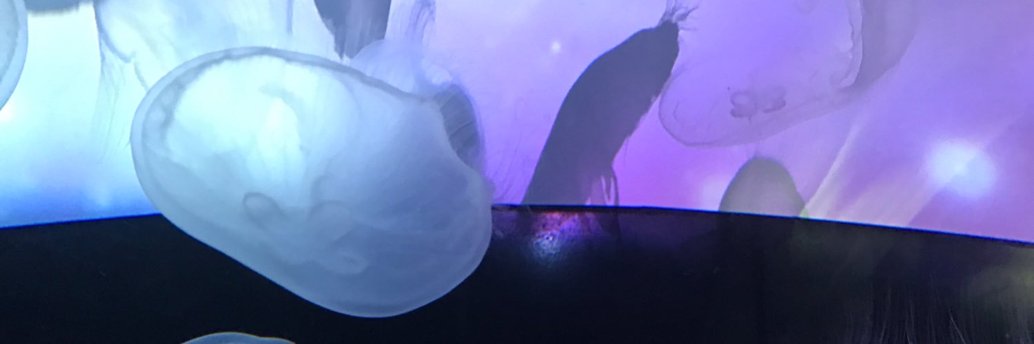 p____iiiii's profile banner image