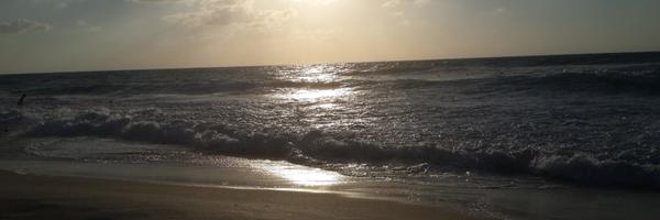 Shirinat Profile Banner