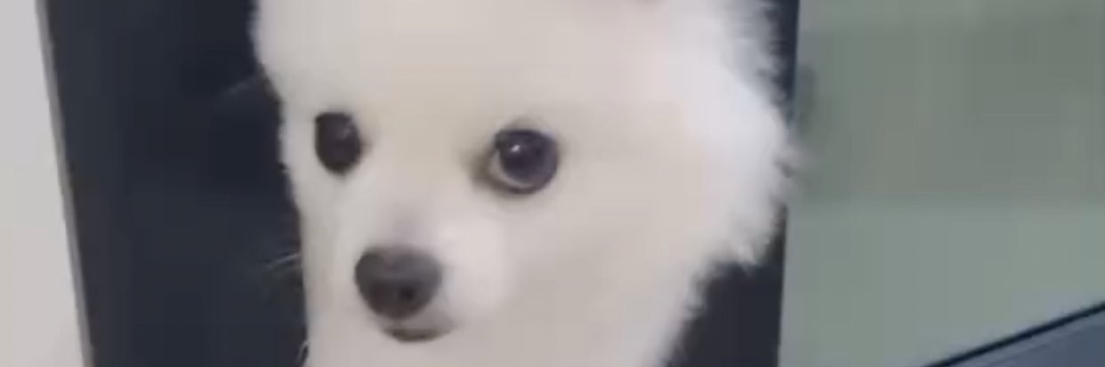 ikikikppp's profile banner image