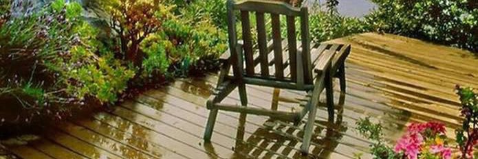 هَم̷س̷ة ع̷ٍط̷ُر ﮧ🦋 banner