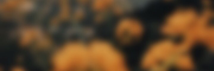 ctrlhxnn's profile banner image