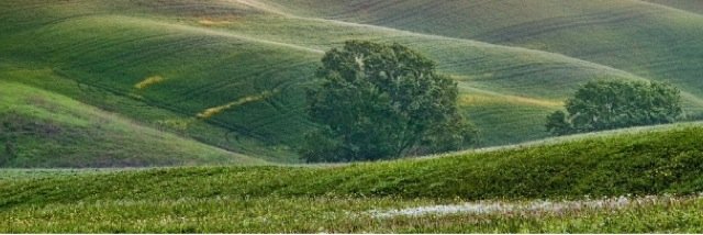 _AshHull's profile banner image