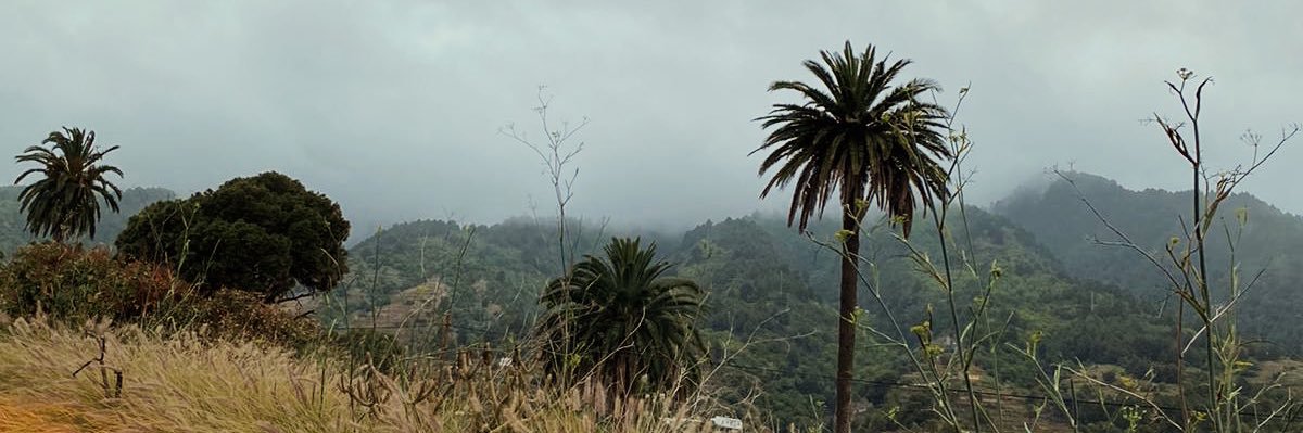 elooi2's profile banner image