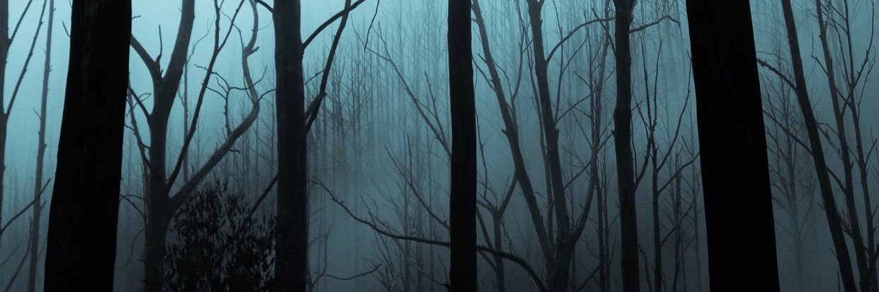 bygargano's profile banner image
