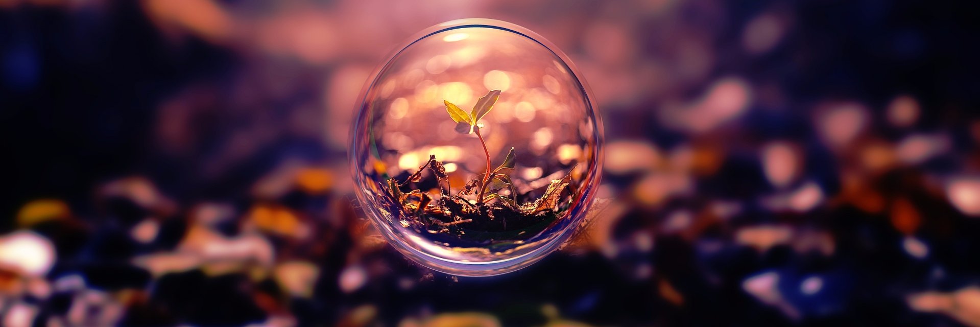 Luís Schimith banner