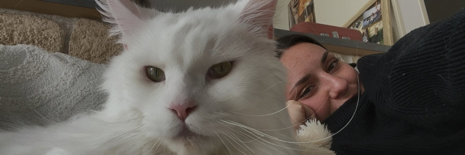 amelrnc's profile banner image