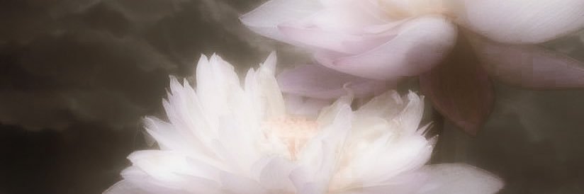 𝑅𝑎𝑒, banner