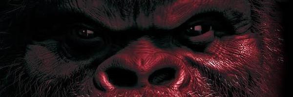 fush_mwaura's profile banner image