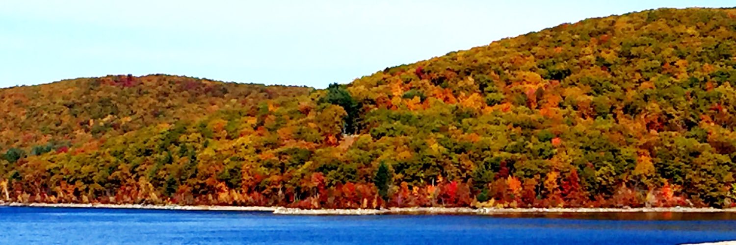 oconnorforbtown's profile banner image