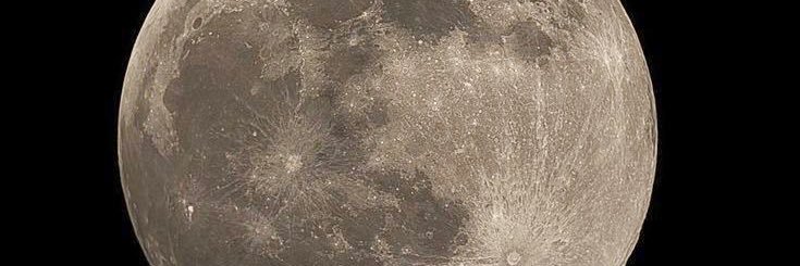 priimaavera's profile banner image