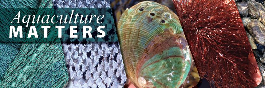 AquaMatters's profile banner image