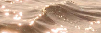 ammcea's profile banner image