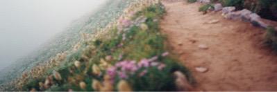 brooklynjgdr's profile banner image