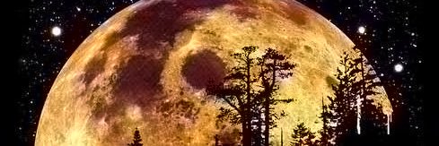 Paranoid Times banner