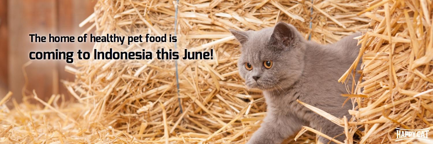 HappyCat_ID's profile banner image