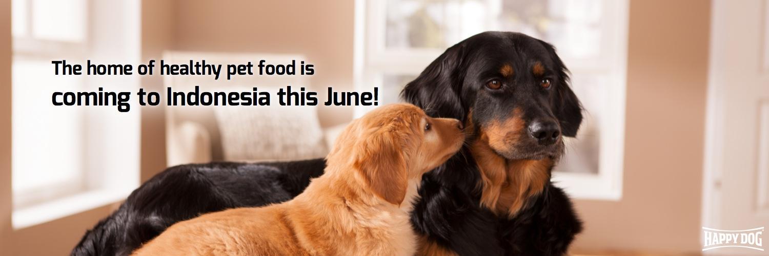 HappyDog_ID's profile banner image