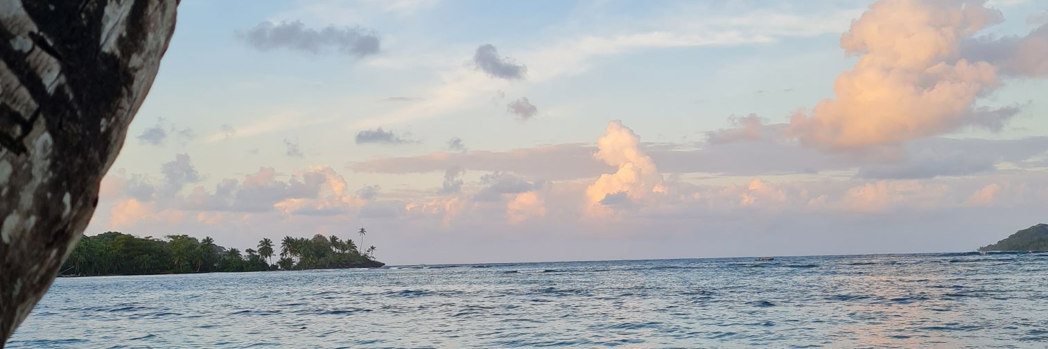 AstridAAC24's profile banner image