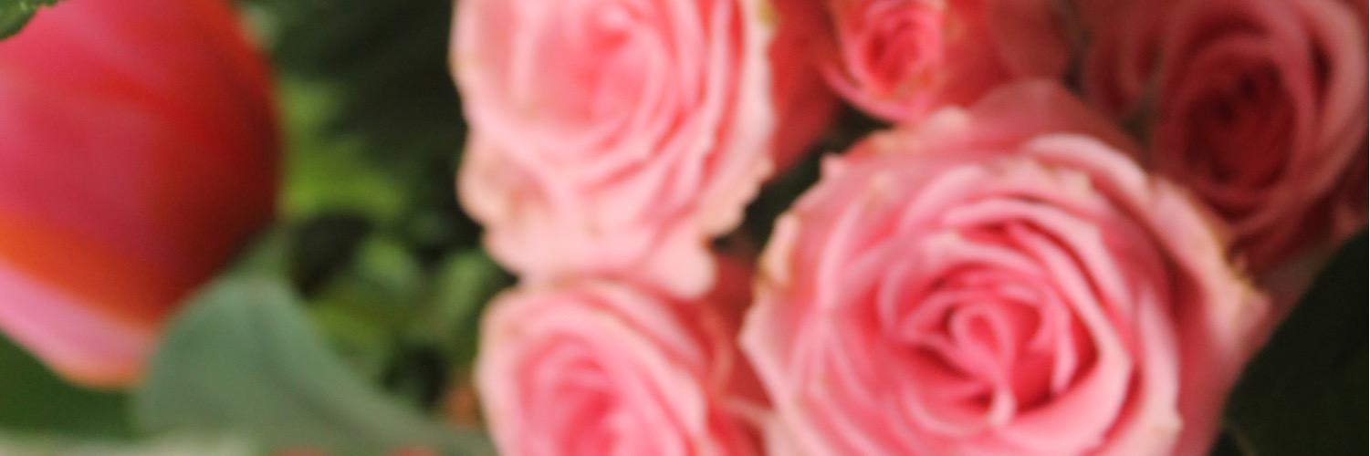 GinaKristy's profile banner image