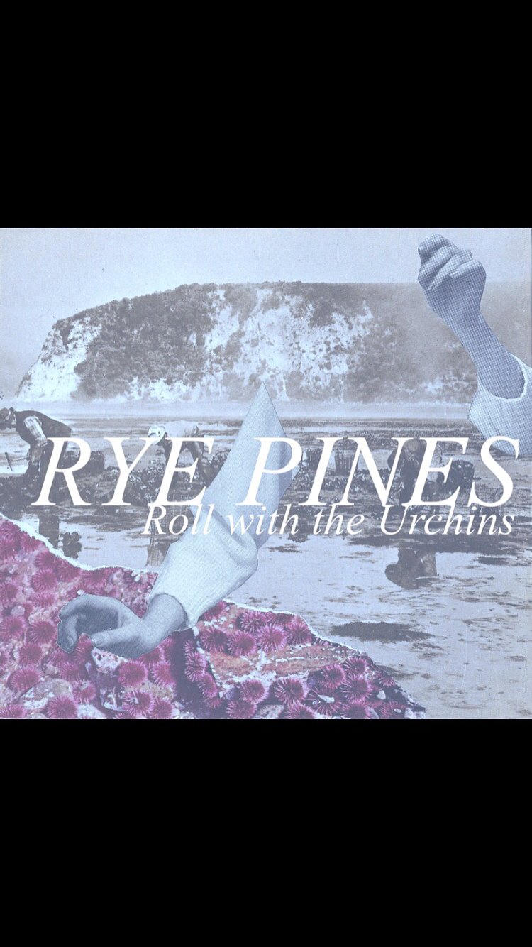 Rye Pines banner
