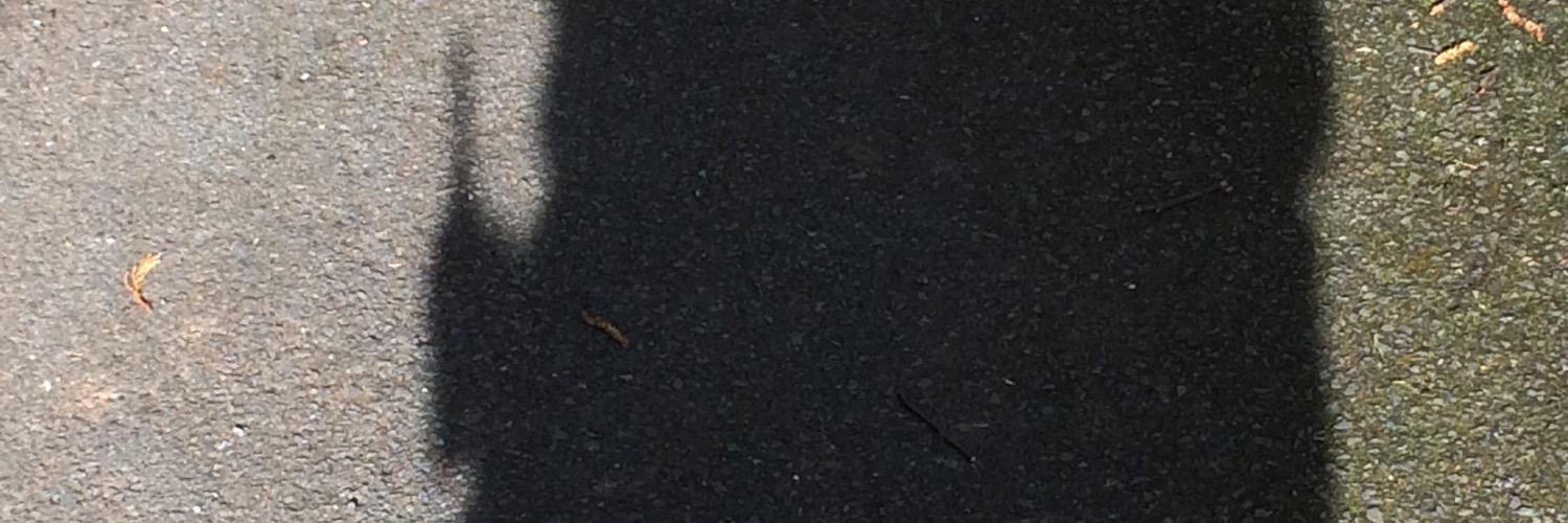 StonydelphWatch's profile banner image