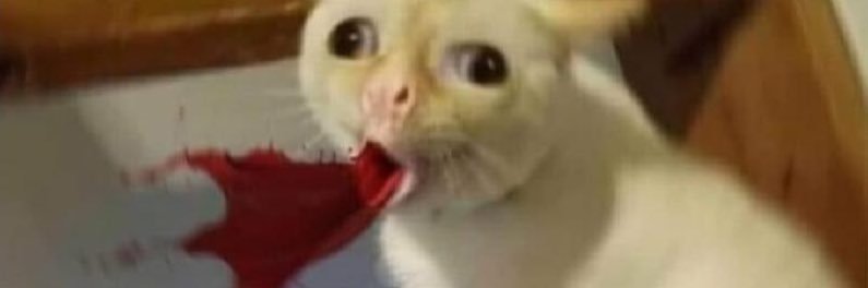 DistantPete's profile banner image