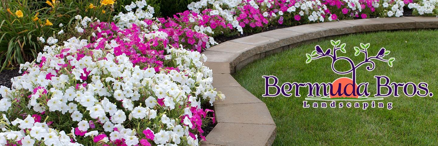 BermudaBros's profile banner image