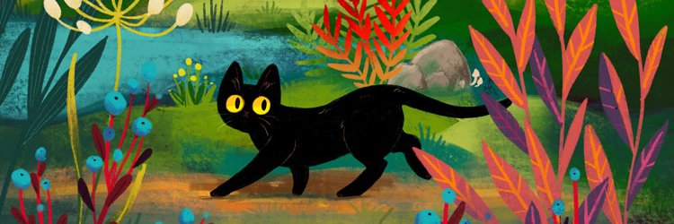 cloudy 🐈 shop update: may 24th banner