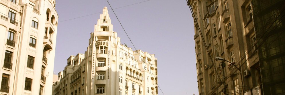 muzicaria's profile banner image