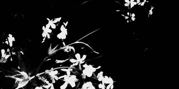 RbinLun's profile banner image