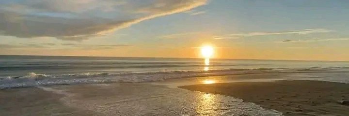 joycj1's profile banner image