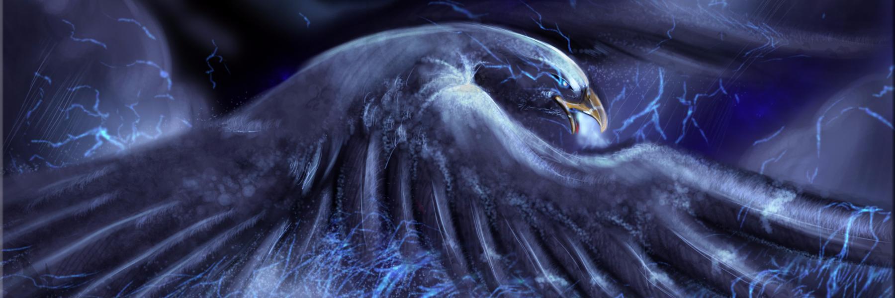Thunderbrd banner