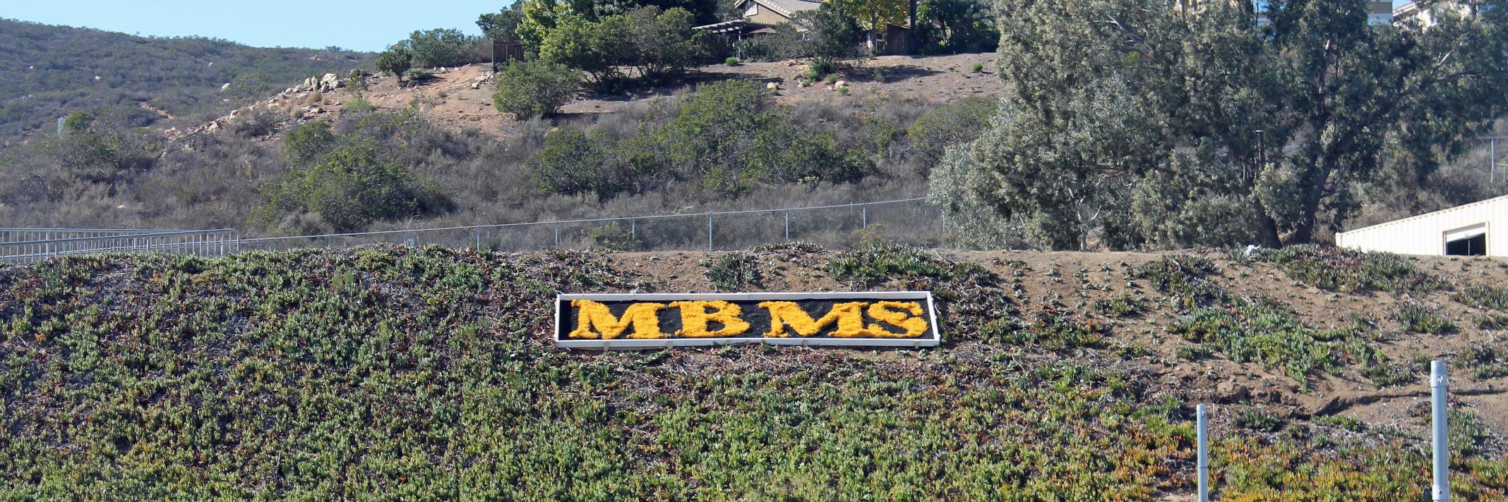 Meadowbrook MS banner