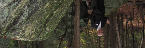 TheRealAurini's profile banner image