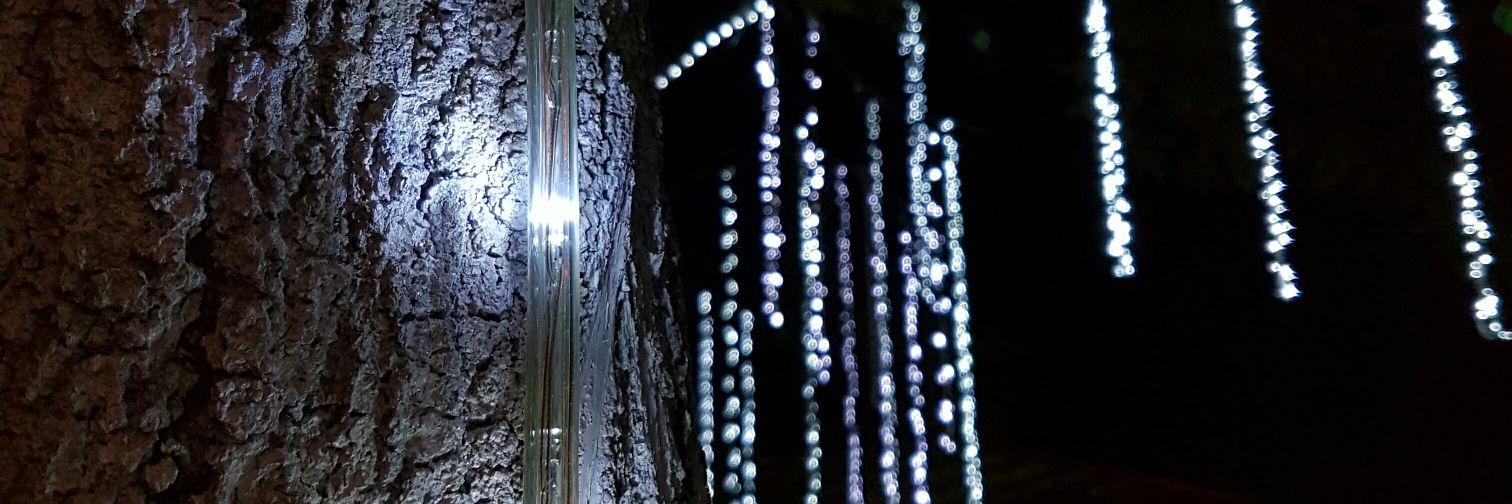 MadeleynC08's profile banner image
