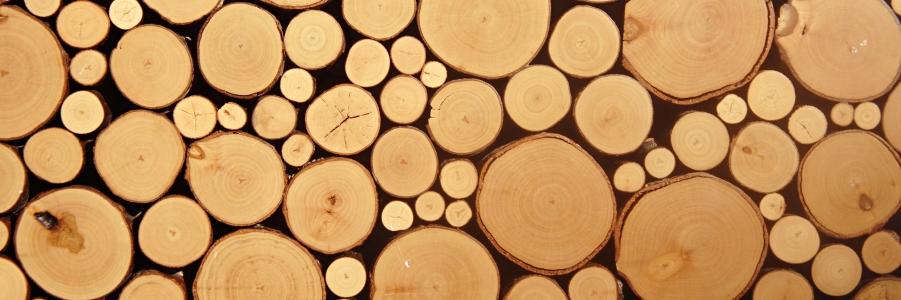 Goedbomenrooien's profile banner image