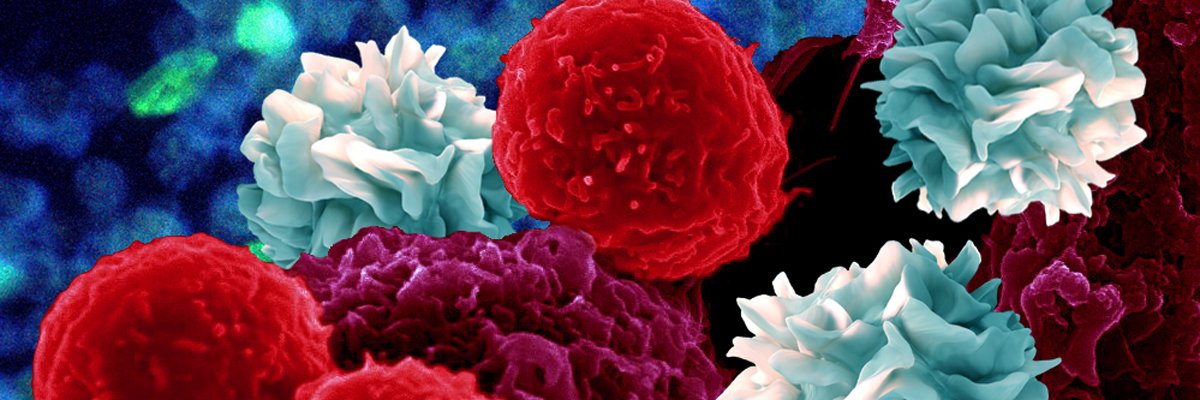 PrimeVax's profile banner image