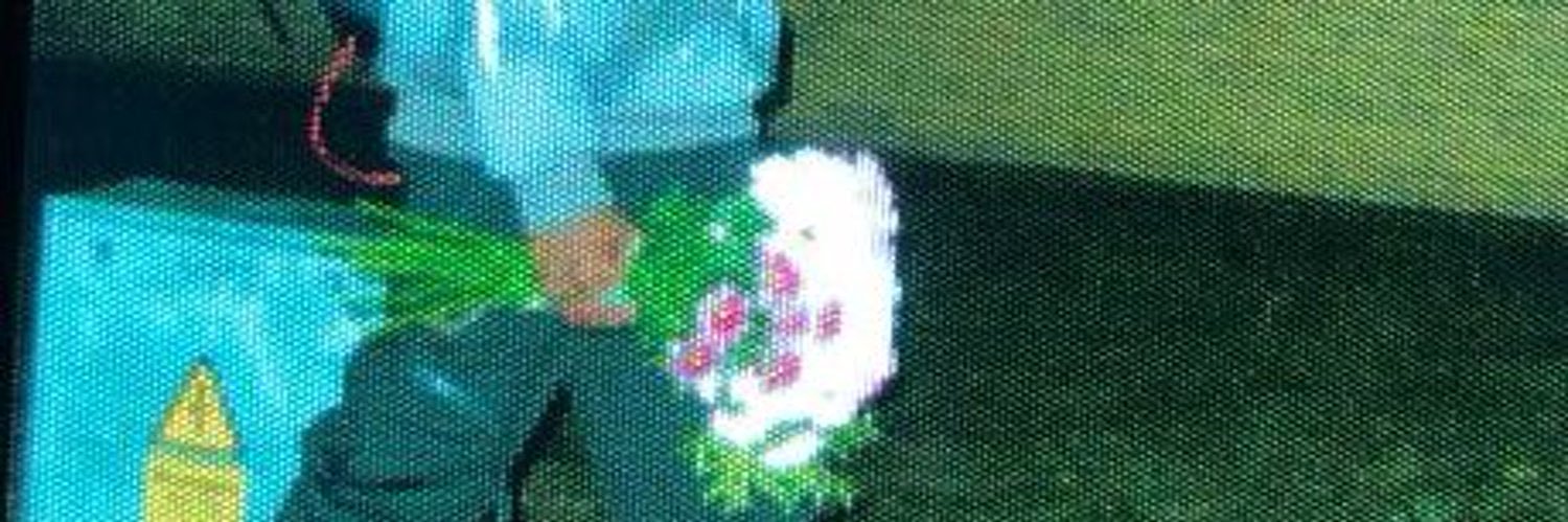 mawwkey 𓅓 banner