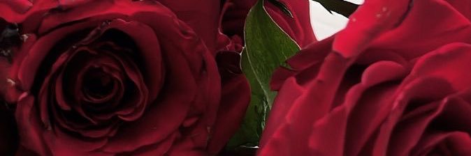 Ambitioussgal's profile banner image