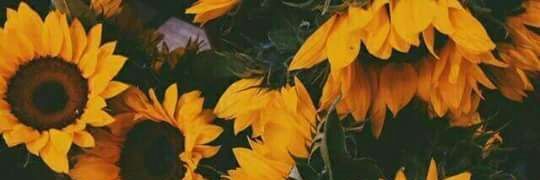 berisbel's profile banner image